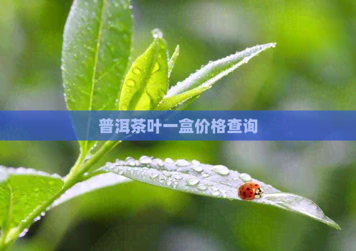普洱茶叶一盒价格查询